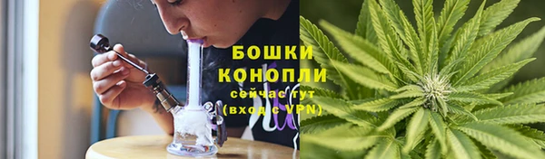 крисы Богданович