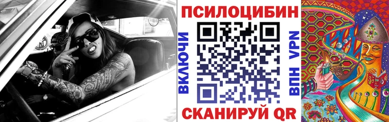 mega маркетплейс  цена наркотик  Кириши  Псилоцибиновые грибы Psilocybe 