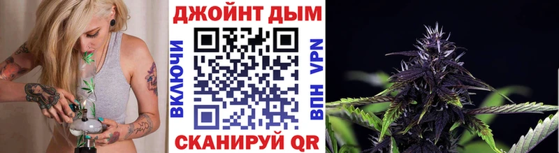 магазин продажи наркотиков  Кириши  Шишки марихуана индика 
